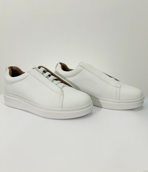 2. Y258 white